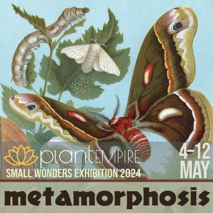 Plant Empire Small Wonders Exhibition 2024