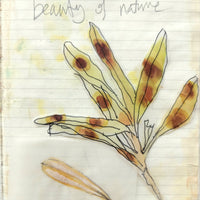 Nature Art Journal Workshop (9 May 2026)