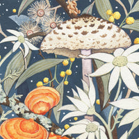 Watercolour Fungi Workshop (11 April 2026)