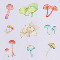 Watercolour Fungi Workshop (18 May 2024)