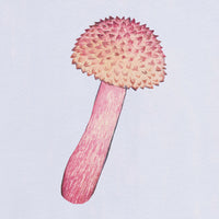 Watercolour Fungi Workshop (13 July 2024)