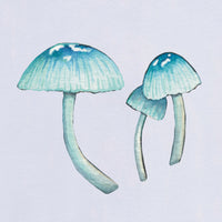 Watercolour Fungi Workshop (13 July 2024)