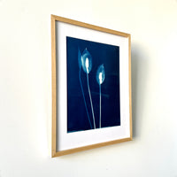 Shades of a Peace Lily