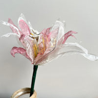 Ssshh… III (Held in Bloom)