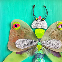 Trash Entomology: Litterbug III