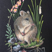 Next In Line: Gilbert's Potoroo