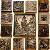 Raw Colour Workshop (14 February 2026)