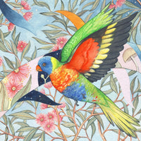 Watercolour Lorikeets Workshop (31 October 2026)