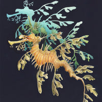 Leafy Seadragon