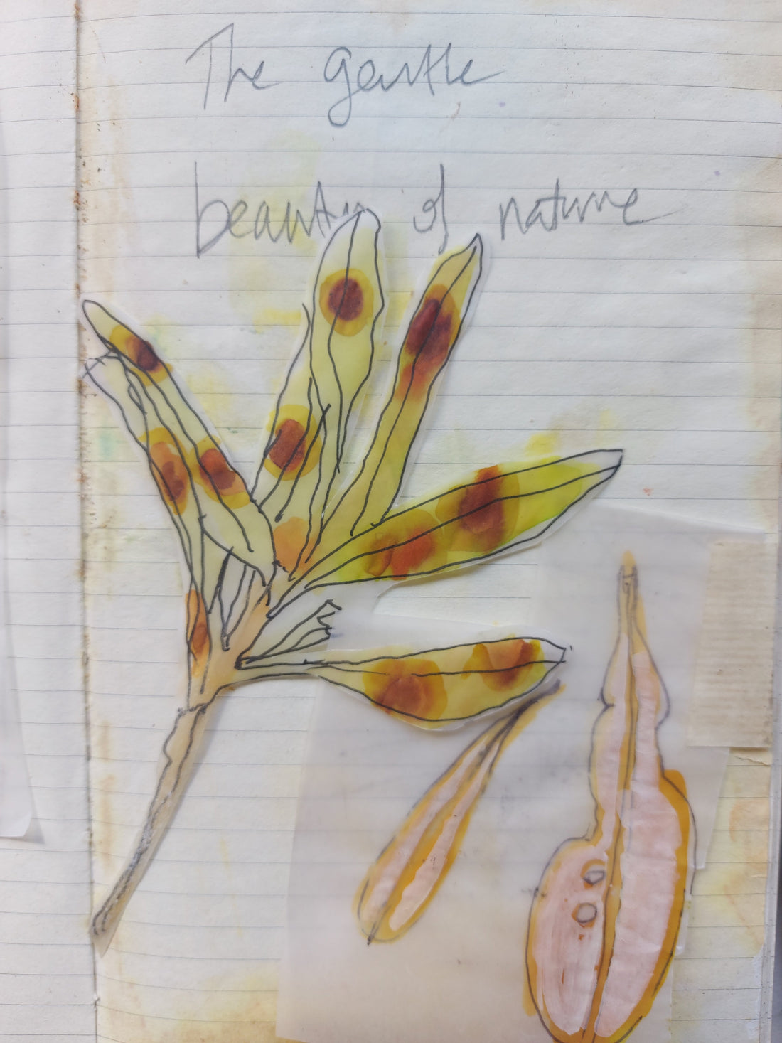 Nature Art Journal Workshop (9 May 2026)