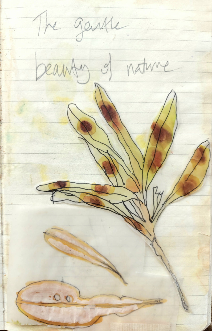 Nature Art Journal Workshop (16 March 2024)