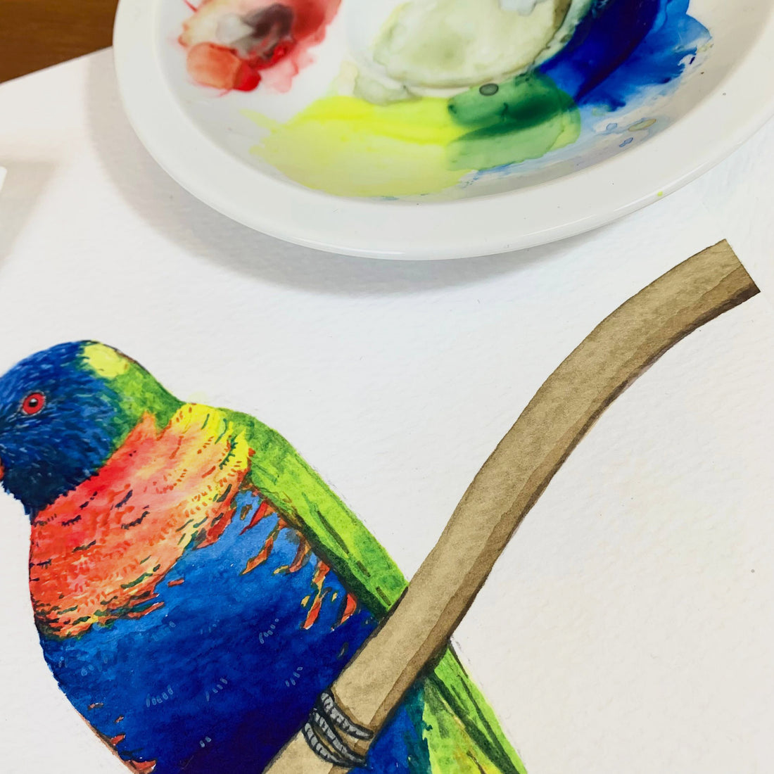 Watercolour Lorikeets Workshop (31 October 2026)