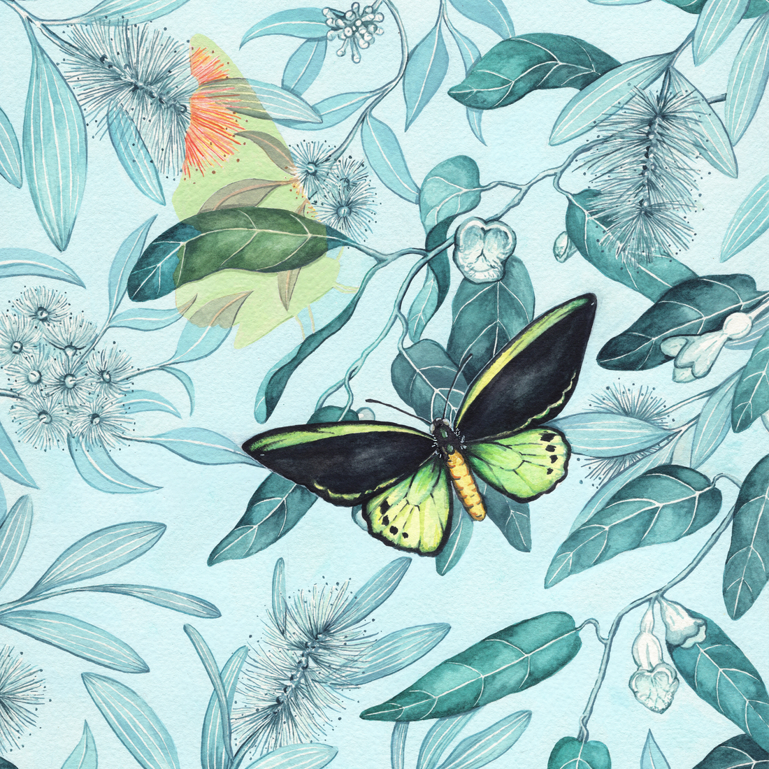 Watercolour Butterflies & Moths Workshop (30 May 2026)
