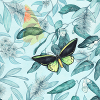 Watercolour Butterflies & Moths Workshop (30 May 2026)