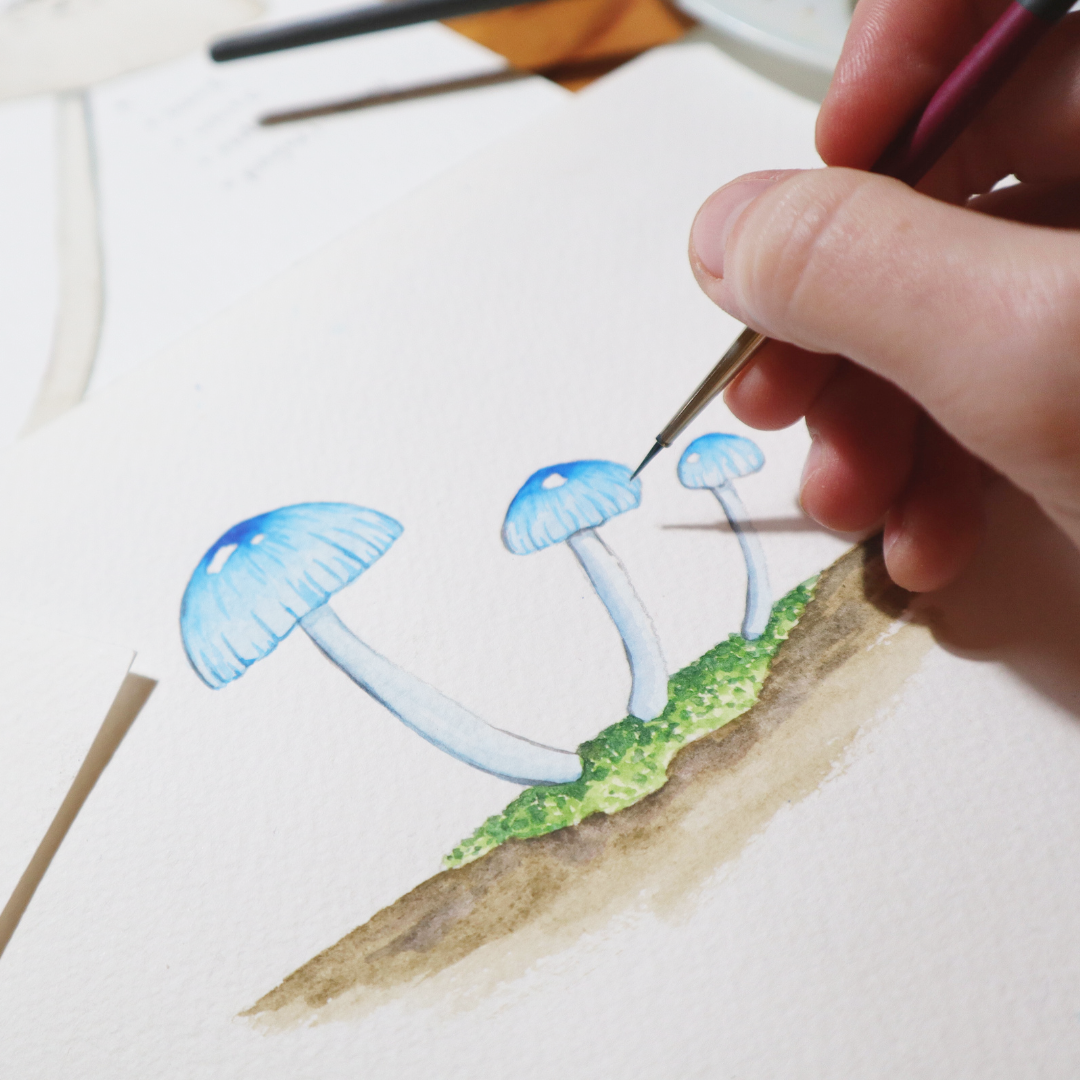 Watercolour Fungi Workshop (11 April 2026)