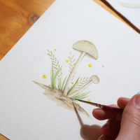 Watercolour Fungi Workshop (11 April 2026)