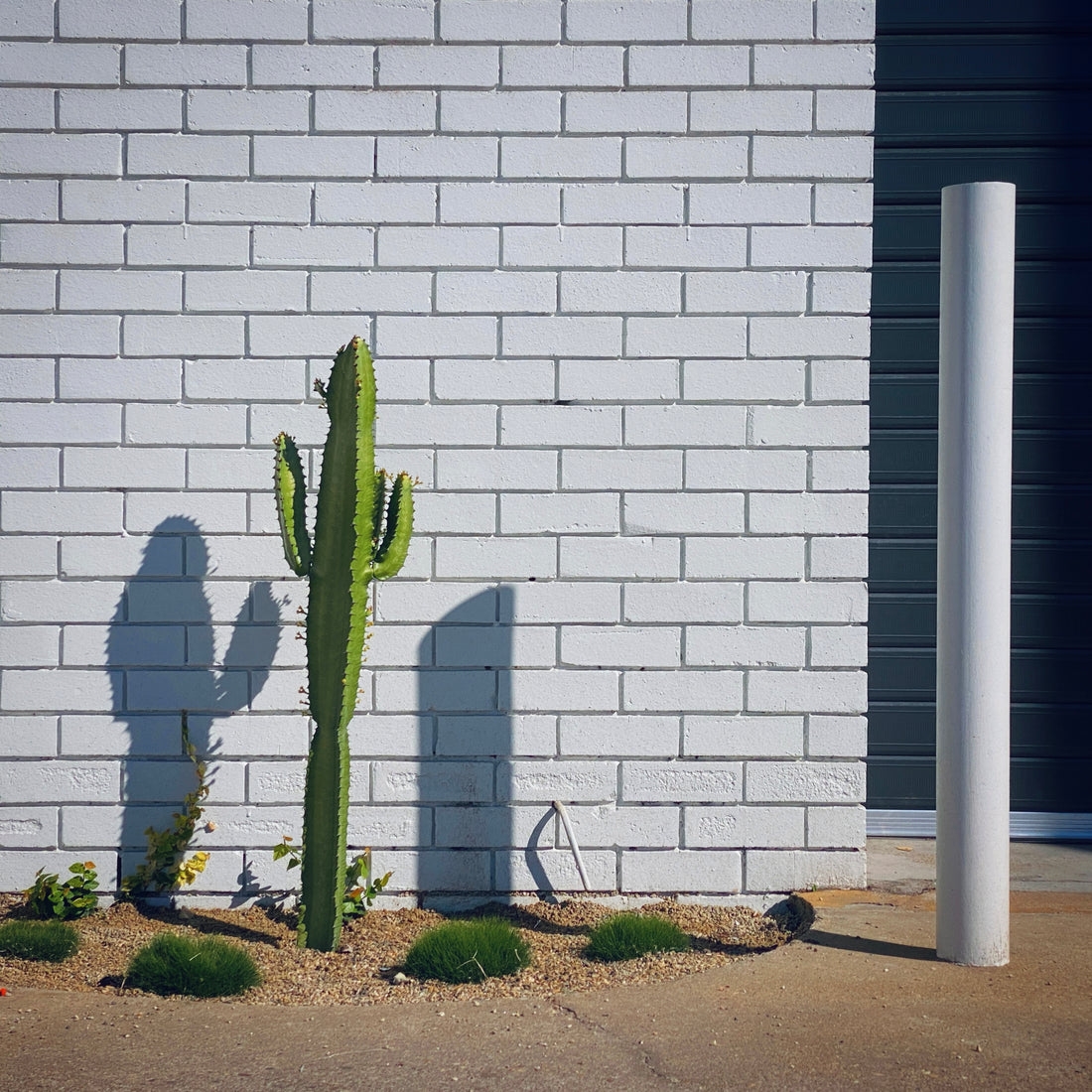 Urban Photography Workshop (1 November 2026)