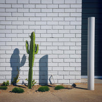 Urban Photography Workshop (1 November 2026)