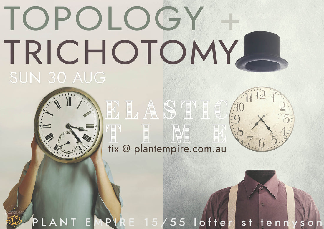 Elastic Time (30 August 2026)