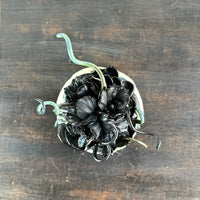 Tendrils