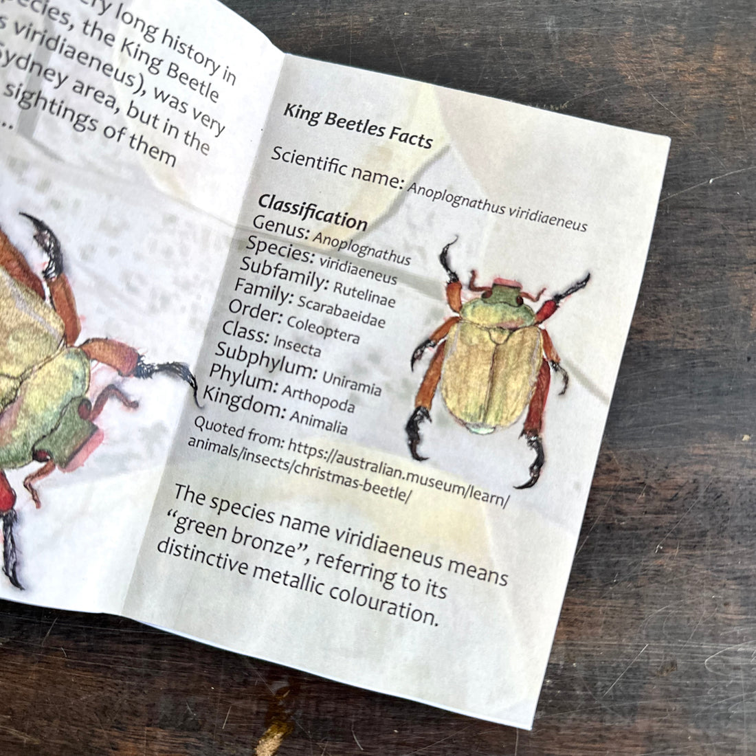 Rusty the Christmas Beetle