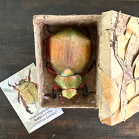 Rusty the Christmas Beetle