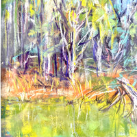 Reflections of the Granite Belt II