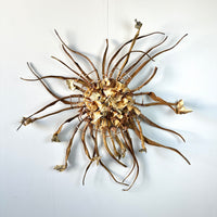 Windflower II