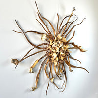 Windflower II