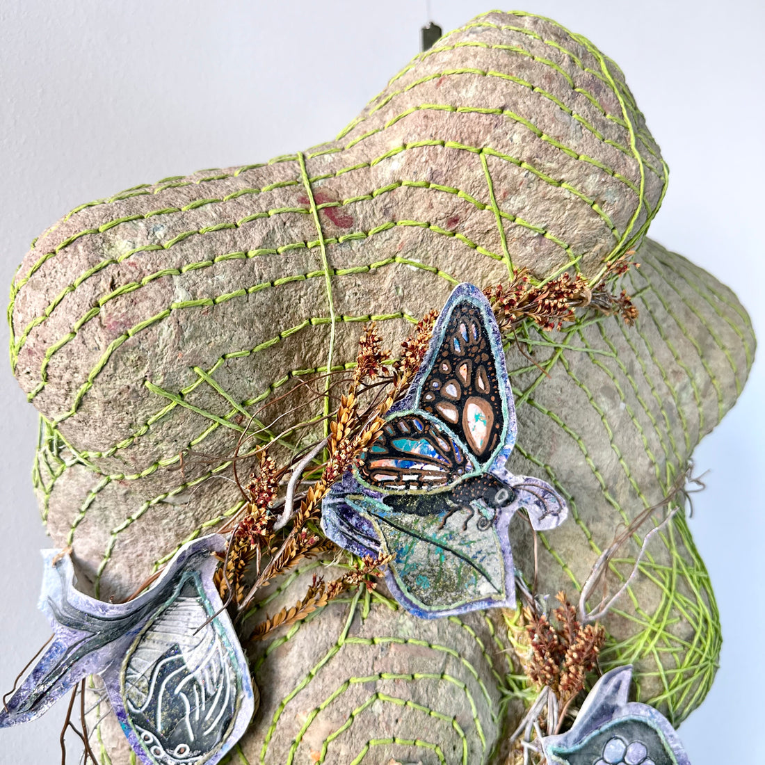 MetamorphoMiss