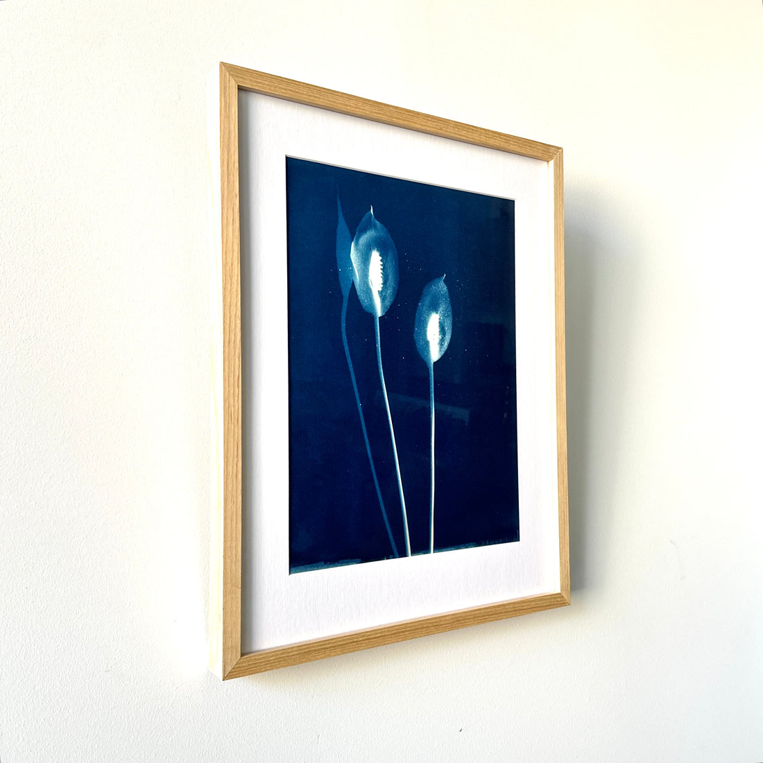 Shades of a Peace Lily