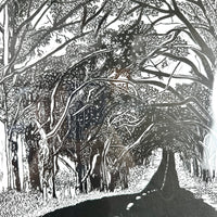 Glenaroua
