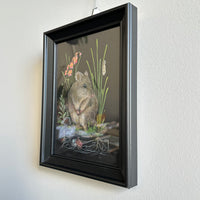 Next In Line: Gilbert's Potoroo