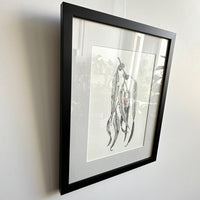 The Moth