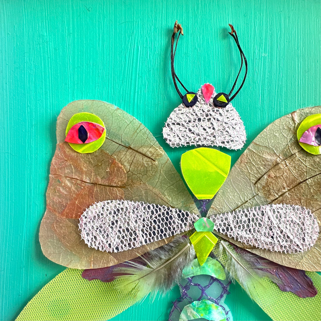 Trash Entomology: Litterbug III
