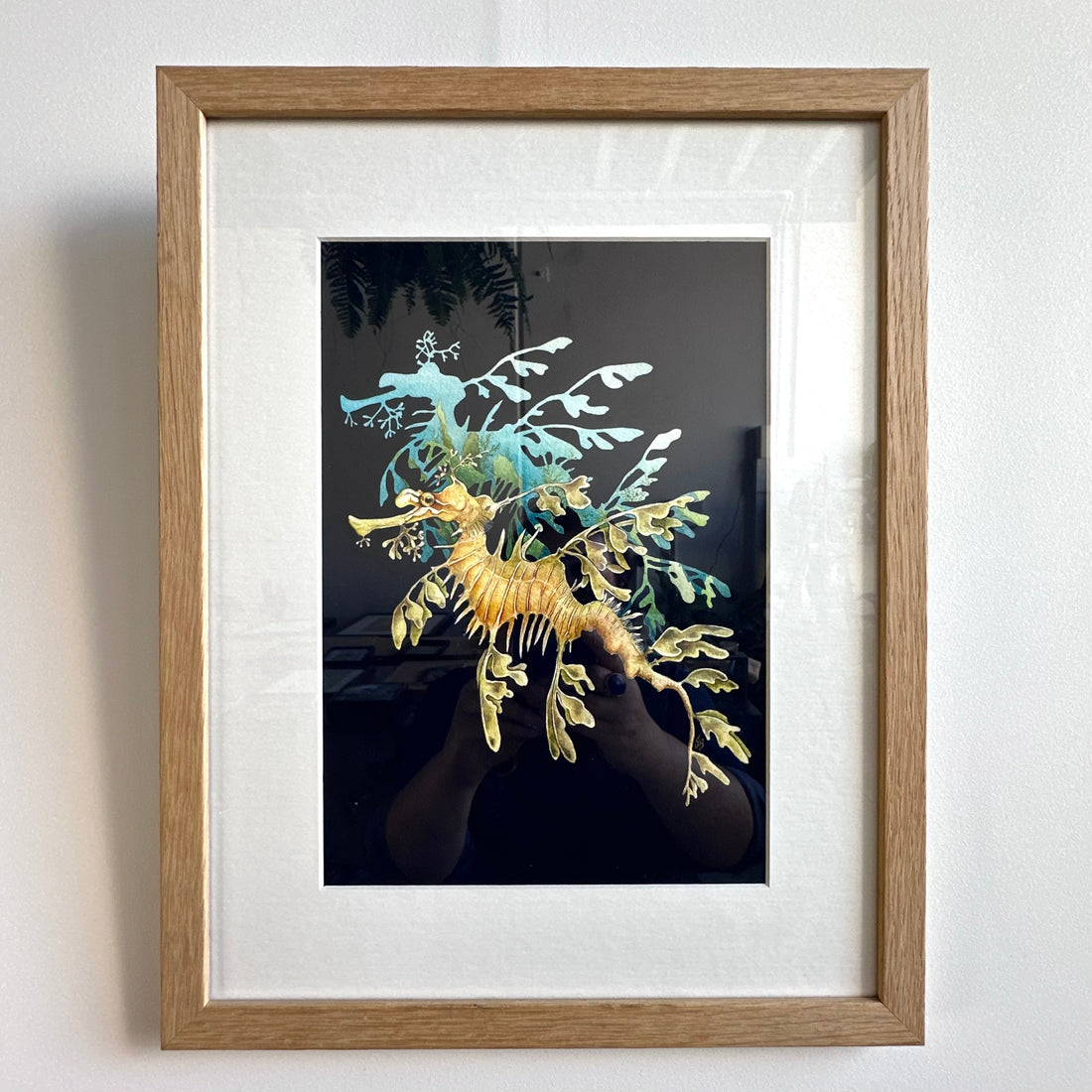 Leafy Seadragon
