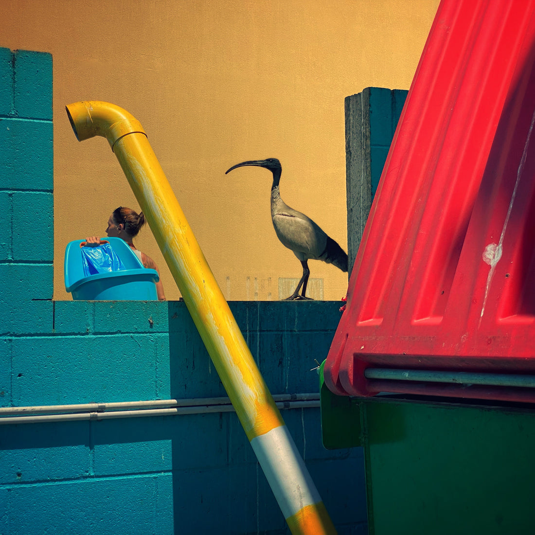 Urban Photography Workshop (1 November 2026)