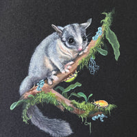 On The Edge: Leadbeater's Possum