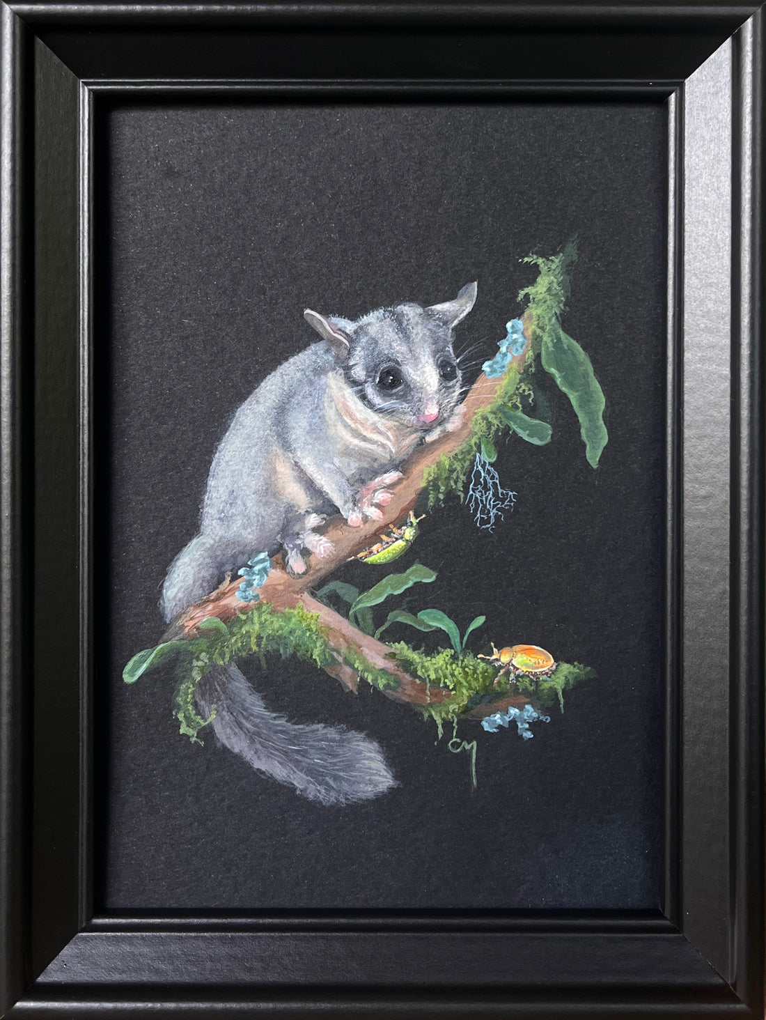 On The Edge: Leadbeater's Possum