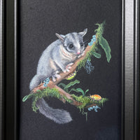 On The Edge: Leadbeater's Possum