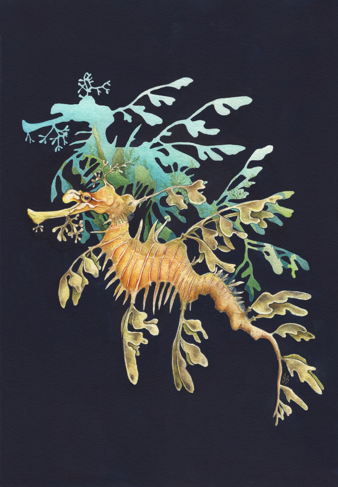Leafy Seadragon