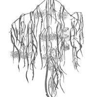 Botanical Drawing Workshop: Leaves (15 February 2026)