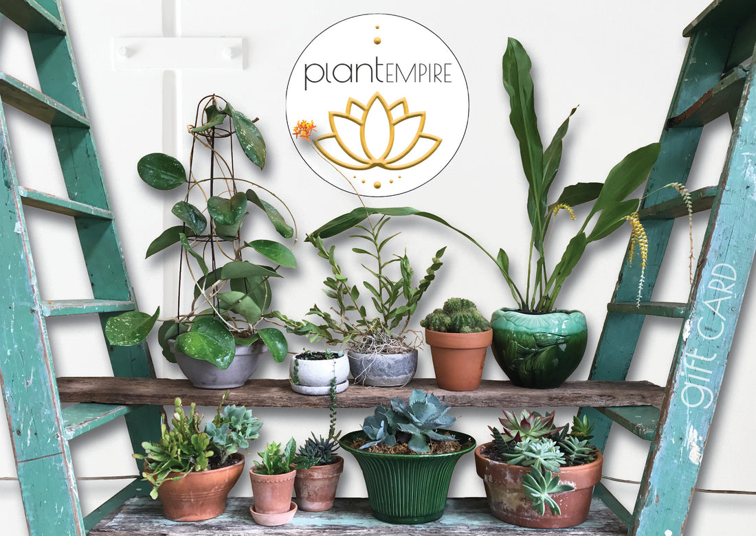Plant Empire Gift Card