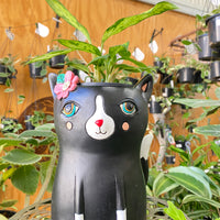 Black Cat Planter